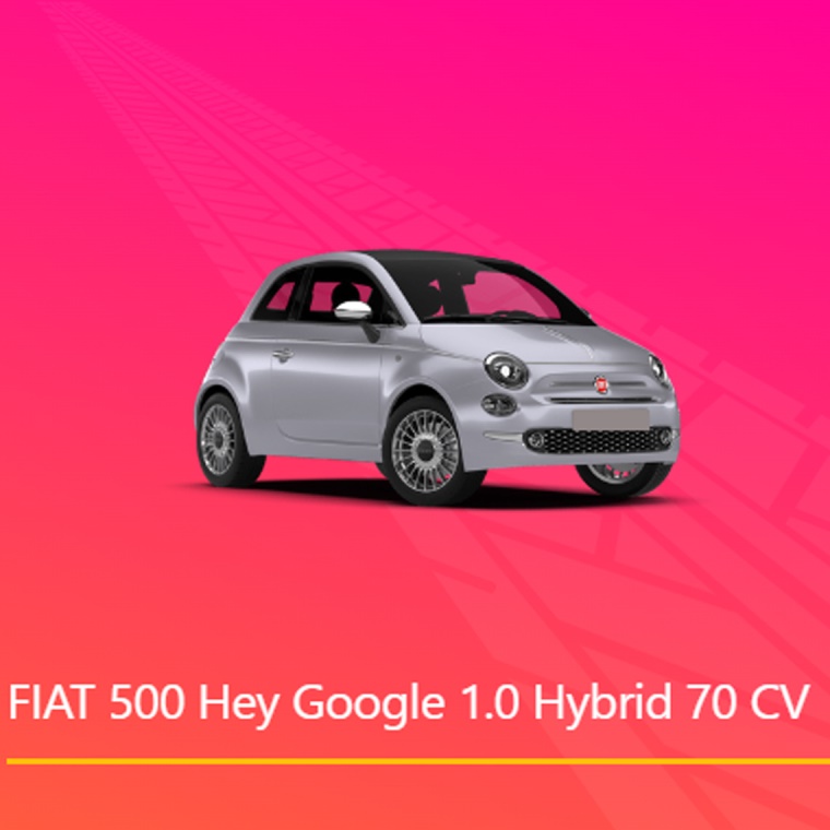 fiat renting